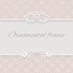 Paper lace background ornamental vector frame with lacy seamless borders