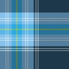 Seamless tartan pattern N18