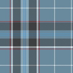Seamless tartan pattern N19