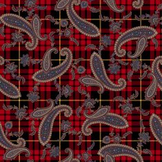 pattern paisley N121