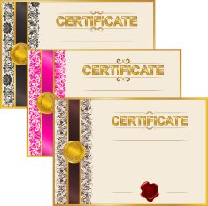 Elegant template of certificate diploma N20