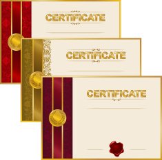 Elegant template of certificate diploma N21