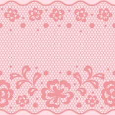 Seamless lace pattern flower vintage vector background N8
