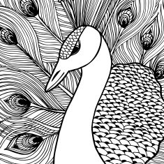 Decorative ornamental peacock Doolle style N2