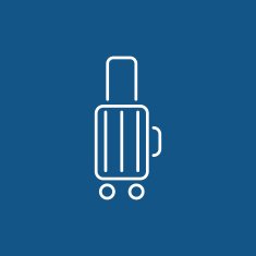luggage icon N21