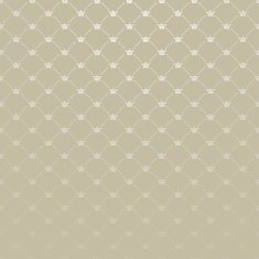silver wallpaper in old style N13