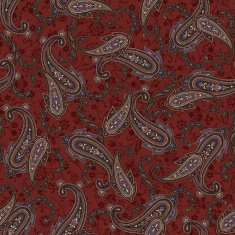 pattern paisley N125