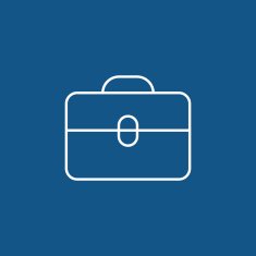 bag icon N17