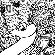 Decorative ornamental peacock Doolle style N3