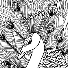 Decorative ornamental peacock N4