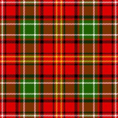 tartan plaid N2