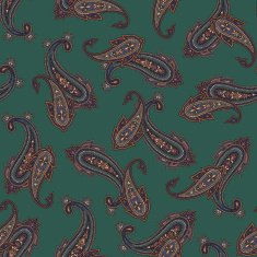 pattern paisley N128