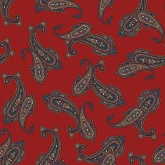 pattern paisley N129