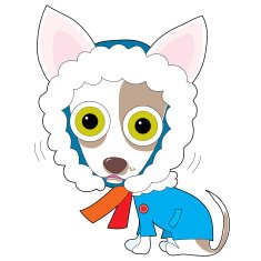 Chilly Chihuahua