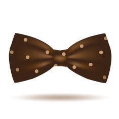 Vector bow tie icon isolated on white background N3