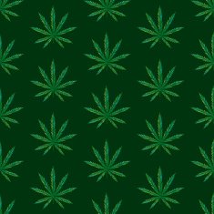 Marijuana N5