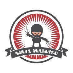 ninja sticker label N3