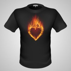 Male t-shirt with print N2