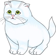 White cat sitting with isolation