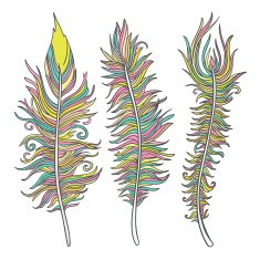 Vector feather set