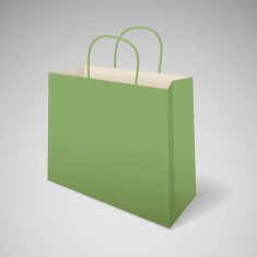 Paper shopping bag with handles N2
