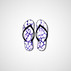 Abstract illustration on flip flops N155