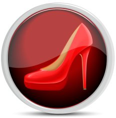 Shoe Icon N15