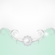 Jewelry and lace N2