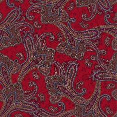 pattern paisley N140