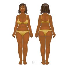 Fat and thin woman vector illustration normal anorexia body N7