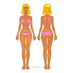 Fat and thin woman vector illustration normal anorexia body N8