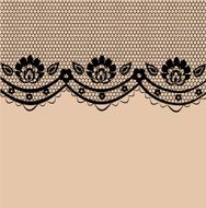 Beautiful delicate lace pattern vector illustration N2