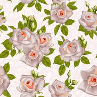 rose seamless pattern N6