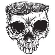 Skull drawing