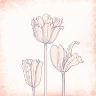 Beautiful vector background with hand drawn tulips