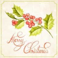 Christmas mistletoe branch drawing N3