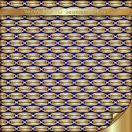 Vector abstract luxury golden background with old chain pattern N3