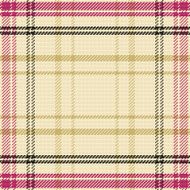 vector seamless pattern Scottish tartan N6