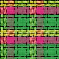 vector seamless pattern Scottish tartan N7