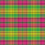 vector seamless pattern Scottish tartan N8