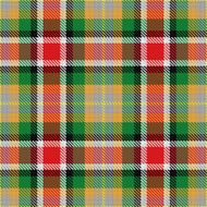 vector seamless pattern Scottish tartan N11