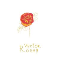 Rose N6