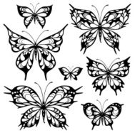 Butterflies N20