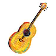 acoustic guitar N15