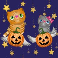 Halloween N182