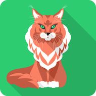 Vector Cat Maine Coon icon flat design