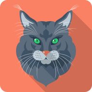 Vector Cat Maine Coon icon flat design N2