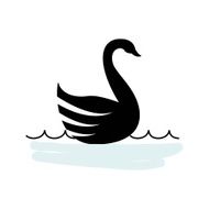 swan design