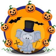 Halloween N195