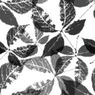 Seamless background with leaves Black and white endless pattern N8